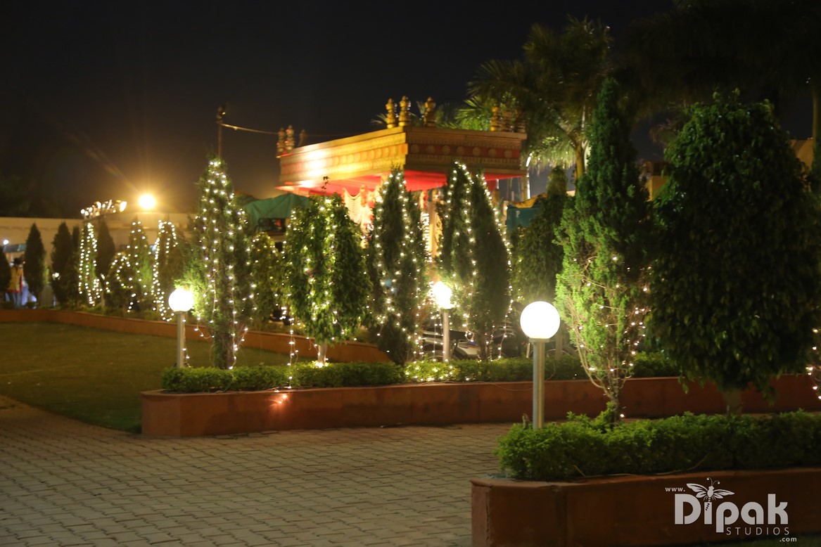 Brij Greens by Ferns and Petals